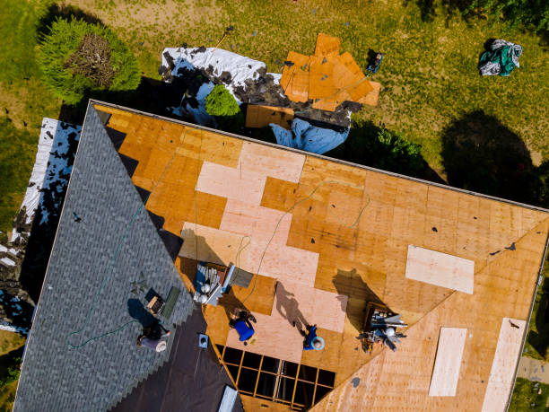 Best Affordable Roofing Company  in Louisburg, KS