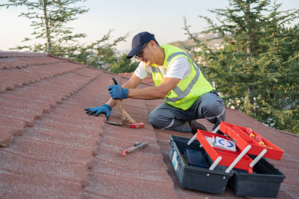 Best Storm Damage Roof Repair  in Louisburg, KS
