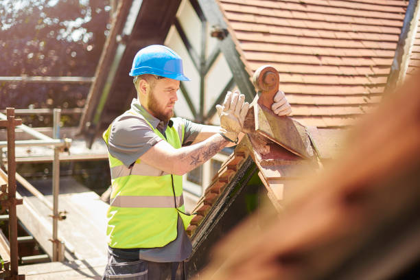 Best Residential Roofing Contractor  in Louisburg, KS