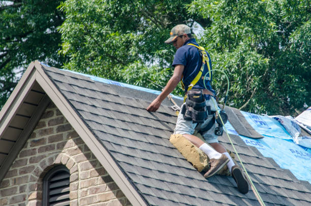 Best Commercial Roofing Services  in Louisburg, KS